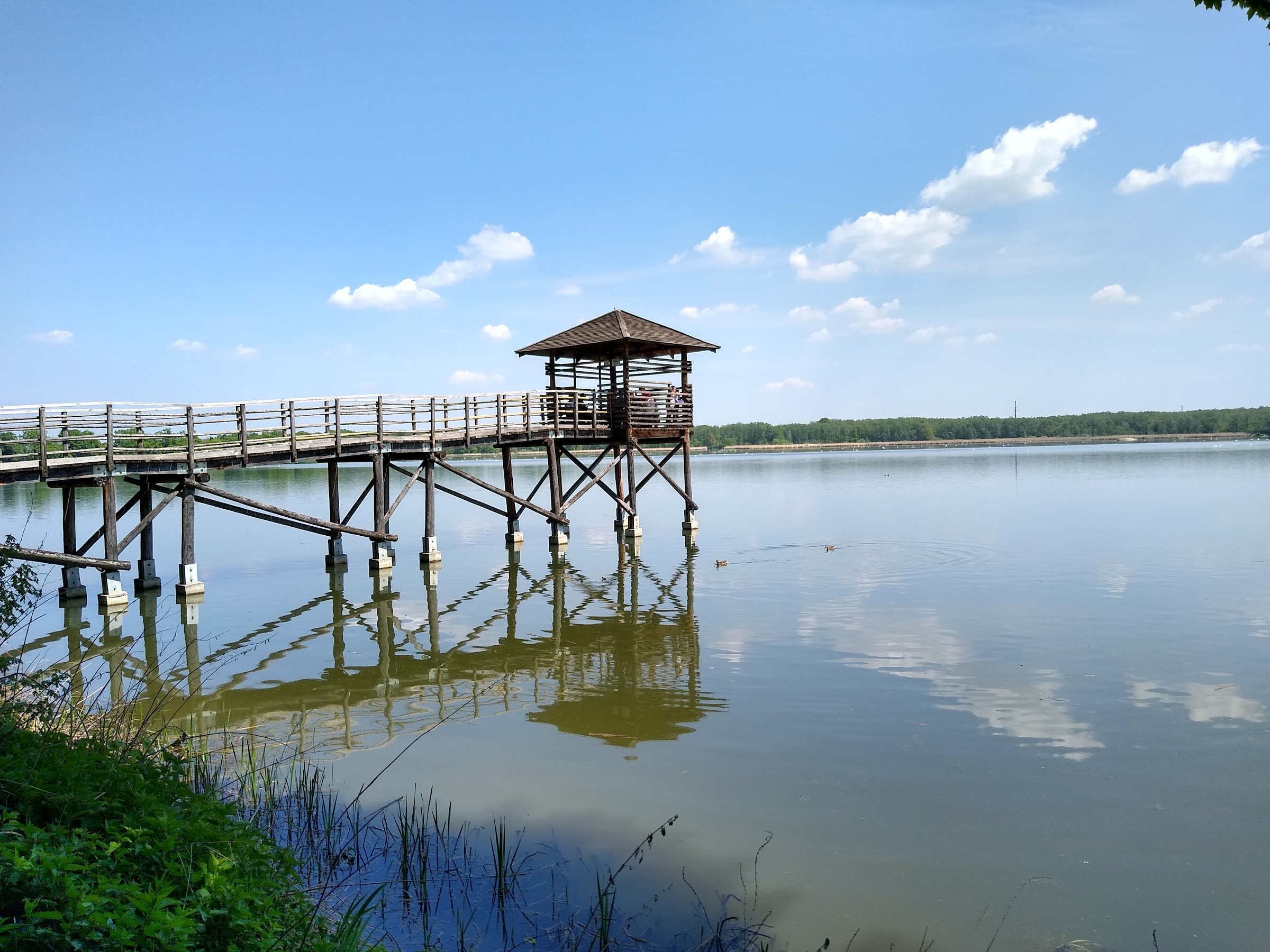 Nature reserve Łężczok
